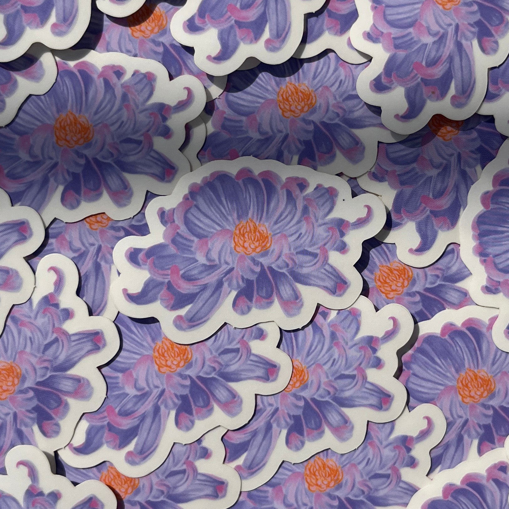 Chrysanthemum Clear Sticker 1